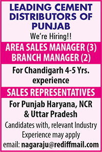 Sales Manager Job Recruitment Ad